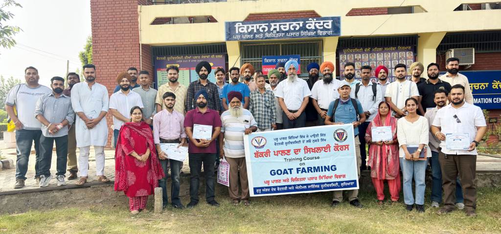 Goat Farming Gaining Ground Vet Varsity experts